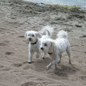 Meet your Posher, Lorie